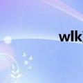 wlk蓝色幼龙（蓝色幼龙）