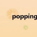 popping音乐播单（popping音乐）