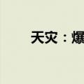 天灾：爆发（关于天灾：爆发简介）