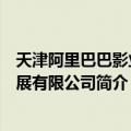 天津阿里巴巴影业发展有限公司（关于天津阿里巴巴影业发展有限公司简介）