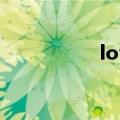 love什么意思（love）