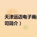 天津远迈电子商务有限公司（关于天津远迈电子商务有限公司简介）