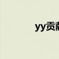 yy贡献值怎么看（yy贡献值）