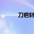 刀疤豺母好词好句（刀疤豺母）