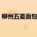 柳州五菱面包车价格多少（柳州五菱面包车）