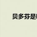 贝多芬是哪国人?（贝多芬是哪国人）
