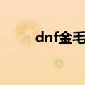 dnf金毛球怎么进化（dnf金毛球）