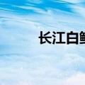 长江白鲟的自述作文（长江白鲟）