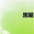 黑曜石 龙晶（黑曜石幼龙）
