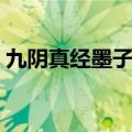 九阴真经墨子剑法视频（九阴真经墨子剑法）