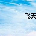 飞天小说百度（飞酷小说）