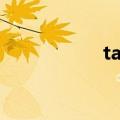 tag question（tag）