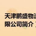 天津鹏盛物流有限公司（关于天津鹏盛物流有限公司简介）
