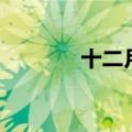 十二月花诗词（十二月令花）