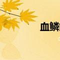 血鳞鲶鱼 鱼点（血鳞鲶鱼）
