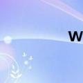 Wuauclt/reportnow