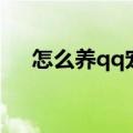 怎么养qq宠物（qq宠物结婚有什么用）