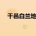 干邑白兰地怎么喝比较好（干邑白兰地）