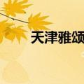 天津雅颂居（关于天津雅颂居简介）