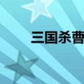 三国杀曹丕技能翻面（三国杀曹丕）