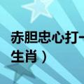 赤胆忠心打一生肖是什么动物（赤胆忠心打一生肖）