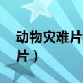 动物灾难片大全50部变异的动物（动物灾难片）