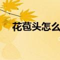 花苞头怎么扎步骤图解（怎么梳花苞头）