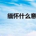 缅怀什么意思解释词语（缅怀什么意思）