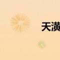 天潢五（关于天潢五简介）