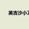 英吉沙小刀生锈怎么办（英吉沙小刀）