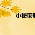 小秘密舞蹈考级视频一级（小秘）