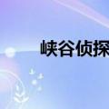 峡谷侦探所是什么（侦查峡谷入口）