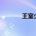 王室少年谢妆妆（王室少年）