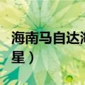海南马自达海福星有雾灯吗（海南马自达海福星）