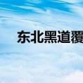 东北黑道覆灭记（东北第一黑帮覆灭记）