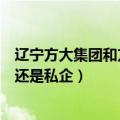 辽宁方大集团和方大集团有什么区别（辽宁方大集团是国企还是私企）