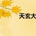 天玄大陆（关于天玄大陆简介）