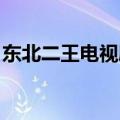 东北二王电视剧全集 下载（东北二王电视剧）