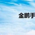金鹏手机哪年出厂（金鹏手机）