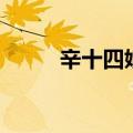 辛十四娘电视剧（辛十四娘剧情）