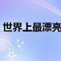世界上最漂亮的脸蛋（全球百张最漂亮脸蛋）