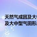 天然气成因及大中型气田形成的地学基础（关于天然气成因及大中型气田形成的地学基础简介）
