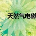 天然气电磁阀（关于天然气电磁阀简介）