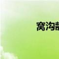 窝沟龋的早期表现（窝沟龋）