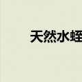 天然水蛭素（关于天然水蛭素简介）