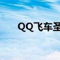 QQ飞车圣骑士图片（qq飞车圣骑士）