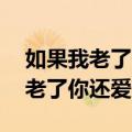 如果我老了你还爱不爱我mp3下载（如果我老了你还爱不爱我）