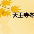 天王寺冬华（关于天王寺冬华简介）