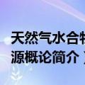 天然气水合物资源概论（关于天然气水合物资源概论简介）