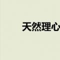 天然理心流（关于天然理心流简介）